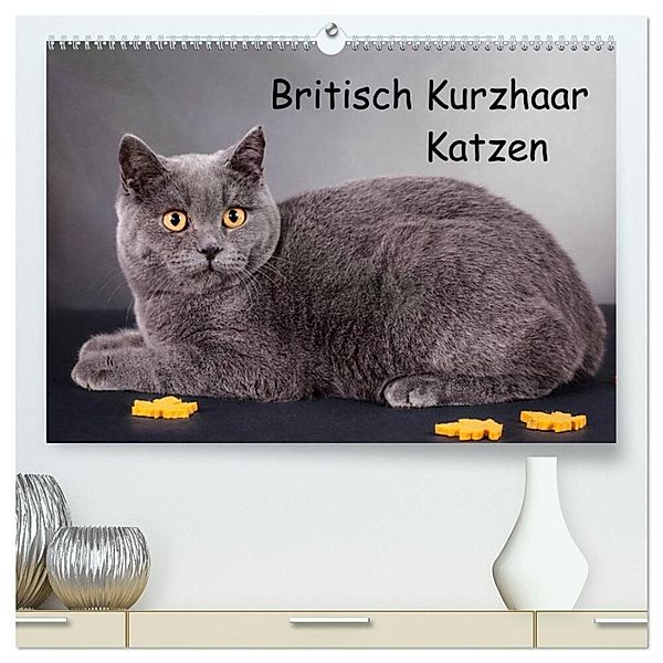 Britisch Kurzhaar Katzen (hochwertiger Premium Wandkalender 2024 DIN A2 quer), Kunstdruck in Hochglanz, Gabriela Wejat-Zaretzke