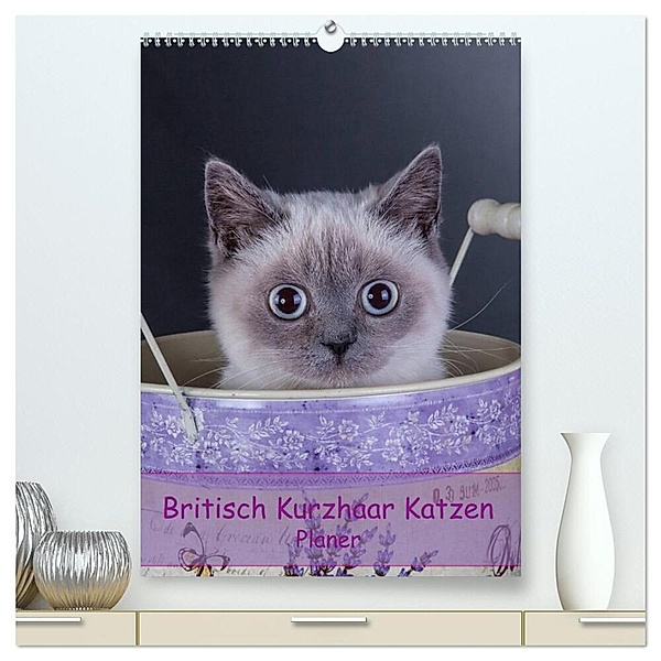 Britisch Kurzhaar Katzen - Planer (hochwertiger Premium Wandkalender 2024 DIN A2 hoch), Kunstdruck in Hochglanz, Gabriela Wejat-Zaretzke