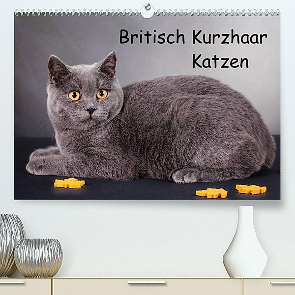 Britisch Kurzhaar Katzen (Premium, hochwertiger DIN A2 Wandkalender 2023, Kunstdruck in Hochglanz), Gabriela Wejat-Zaretzke