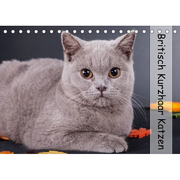 Britisch Kurzhaar Katzen (Tischkalender 2022 DIN A5 quer), Gabriela Wejat-Zaretzke