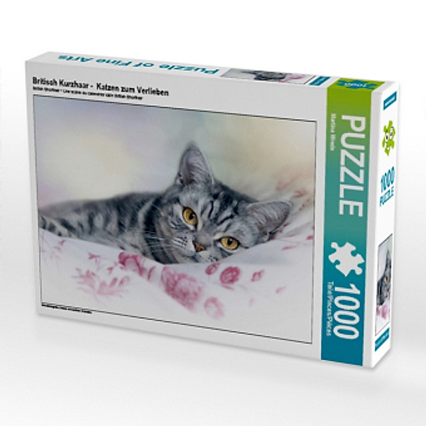 Britisch Kurzhaar - Katzen zum Verlieben (Puzzle), Martina Wrede