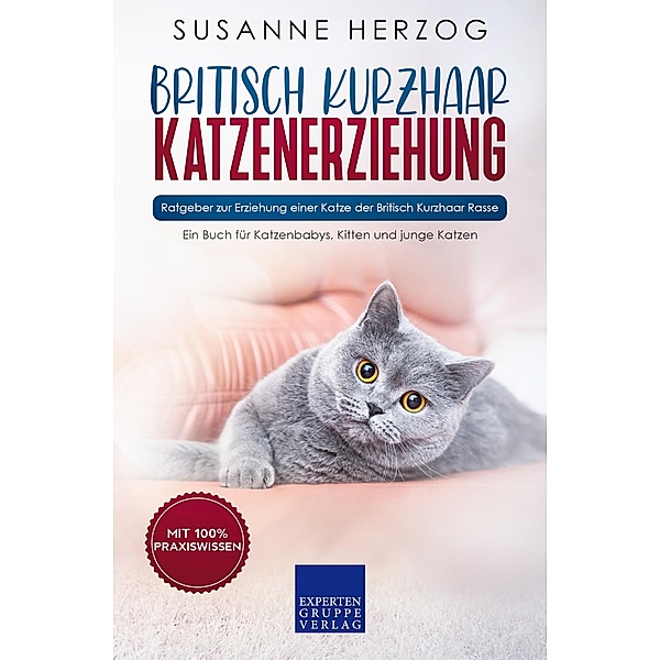Britisch Kurzhaar Katzenerziehung - Ratgeber zur Erziehung einer Katze der Britisch Kurzhaar Rasse / Britisch Kurzhaar Katzen Bd.1, Susanne Herzog