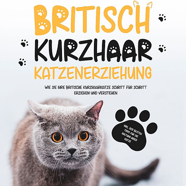 Britisch Kurzhaar Katzenerziehung: Wie Sie Ihre britische Kurzhaarkatze Schritt für Schritt erziehen und verstehen – inkl. der besten Tipps für die Haltung Ihrer Katze, Britta Fährmann