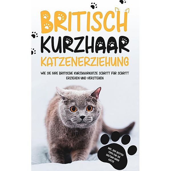 Britisch Kurzhaar Katzenerziehung: Wie Sie Ihre britische Kurzhaarkatze Schritt für Schritt erziehen und verstehen - inkl. der besten Tipps für die Haltung Ihrer Katze, Britta Fährmann
