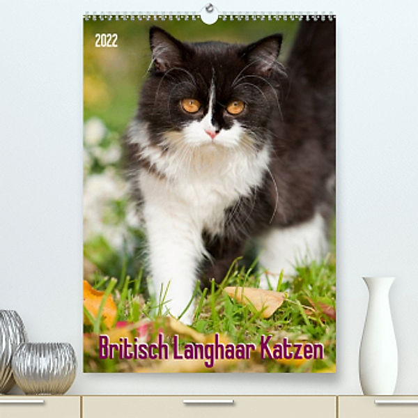 Britisch Langhaar Katzen (Premium, hochwertiger DIN A2 Wandkalender 2022, Kunstdruck in Hochglanz), Judith dzierzawa