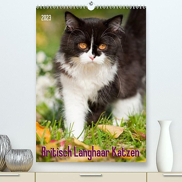 Britisch Langhaar Katzen (Premium, hochwertiger DIN A2 Wandkalender 2023, Kunstdruck in Hochglanz), Judith dzierzawa