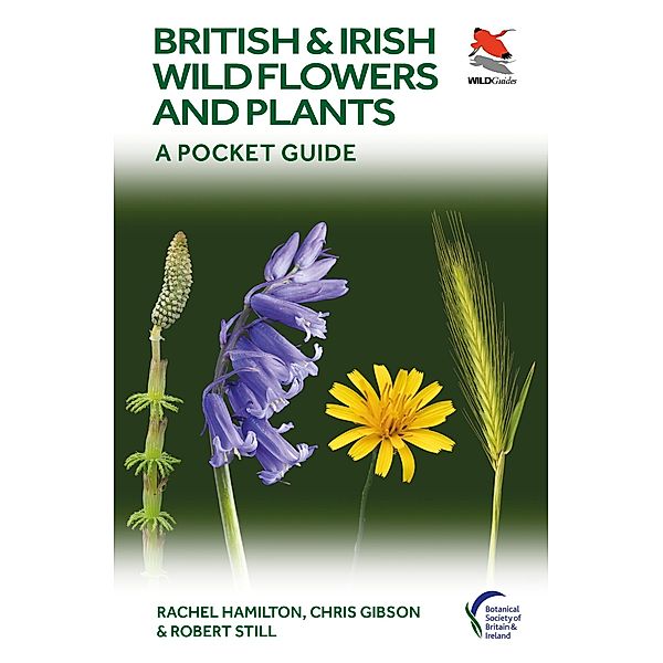 British and Irish Wild Flowers and Plants / WILDGuides Bd.117, Rachel Hamilton, Chris Gibson, Robert Still