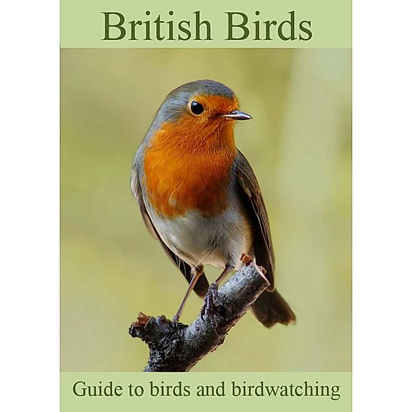 British Birds, Colin Salter