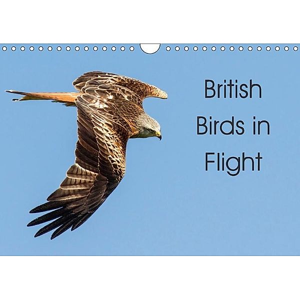 British Birds in Flight (Wall Calendar 2018 DIN A4 Landscape), Glenn Welch