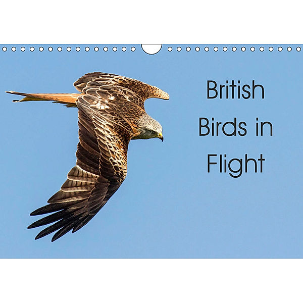 British Birds in Flight (Wall Calendar 2019 DIN A4 Landscape), Glenn Welch