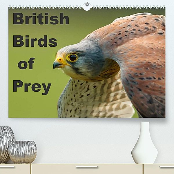 British Birds of Prey (Premium, hochwertiger DIN A2 Wandkalender 2023, Kunstdruck in Hochglanz), Dalyn