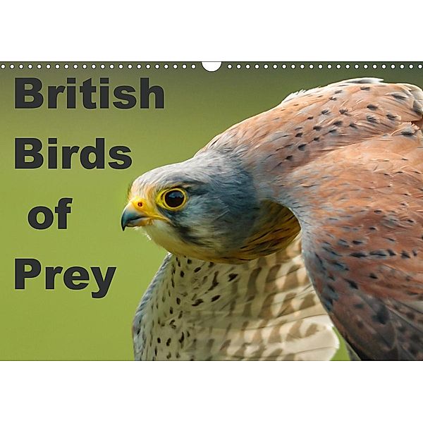 British Birds of Prey (Wall Calendar 2021 DIN A3 Landscape)