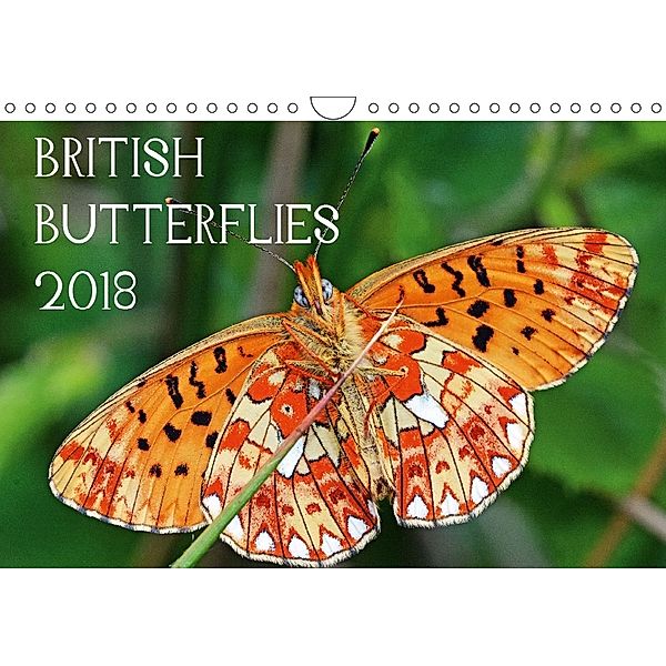 British Butterflies 2018 (Wall Calendar 2018 DIN A4 Landscape), Mark Pike