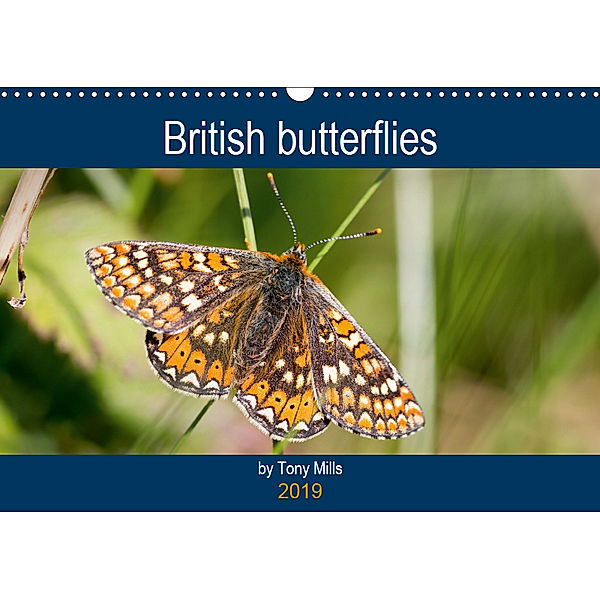 British Butterflies by Tony Mills (Wall Calendar 2019 DIN A3 Landscape), Tony Mills