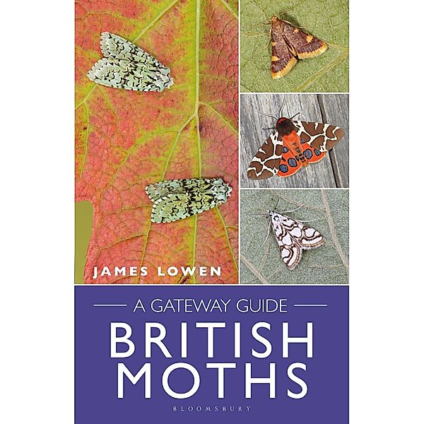 British Moths, James Lowen