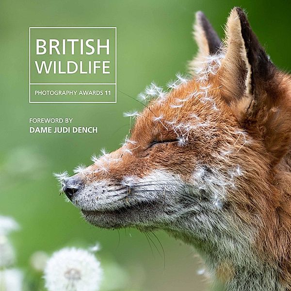 British Wildlife Photography Awards 2023, Will Nicholls