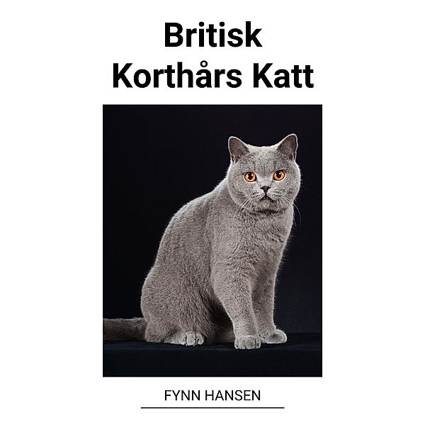 Britisk Korthårs Katt, Fynn Hansen