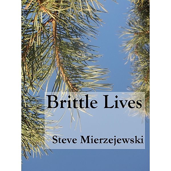 Brittle Lives, Steve Mierzejewski