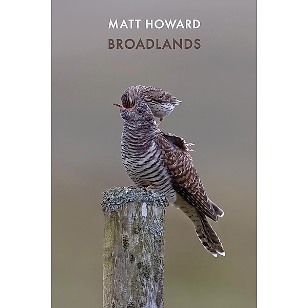 Broadlands, Matt Howard