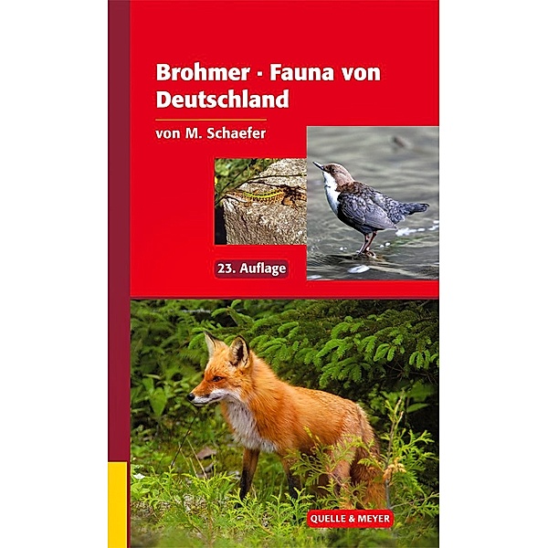 Brohmer Fauna von Deutschland, Matthias Schaefer