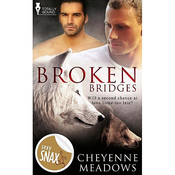 Broken Bridges / Totally Bound Publishing, Cheyenne Meadows