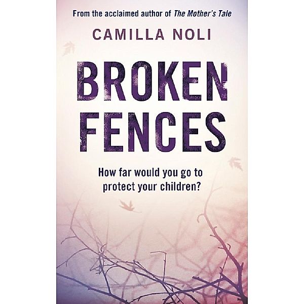 Broken Fences, Camilla Noli