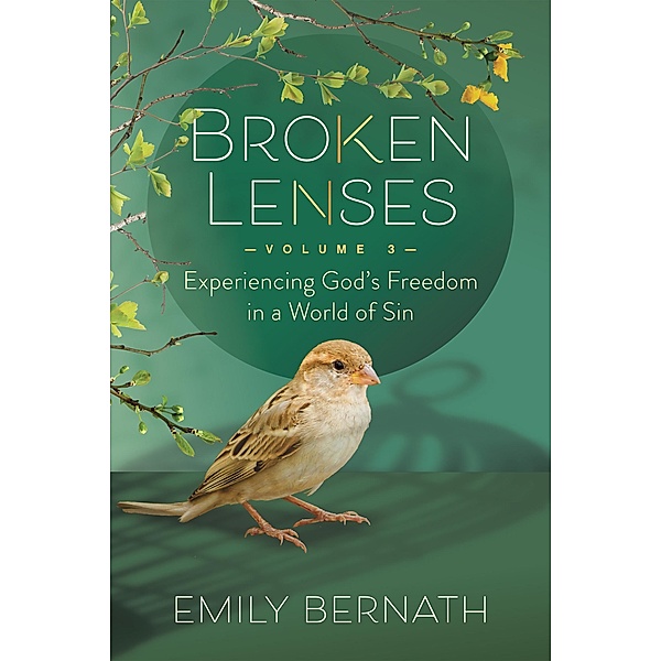 Broken Lenses Volume 3 / Morgan James Faith, Emily Bernath