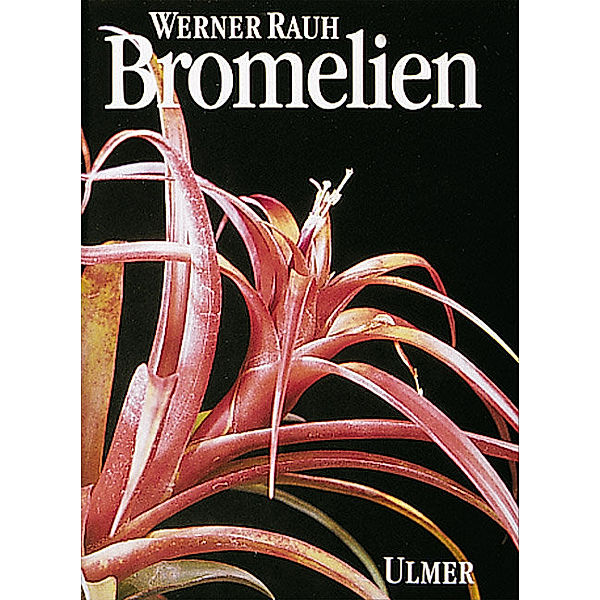 Bromelien, Werner Rauh, Elvira Gross