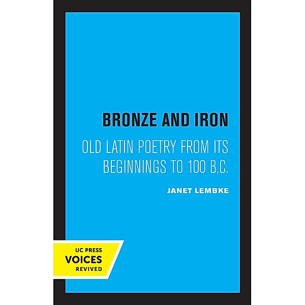 Bronze and Iron, Janet Lembke