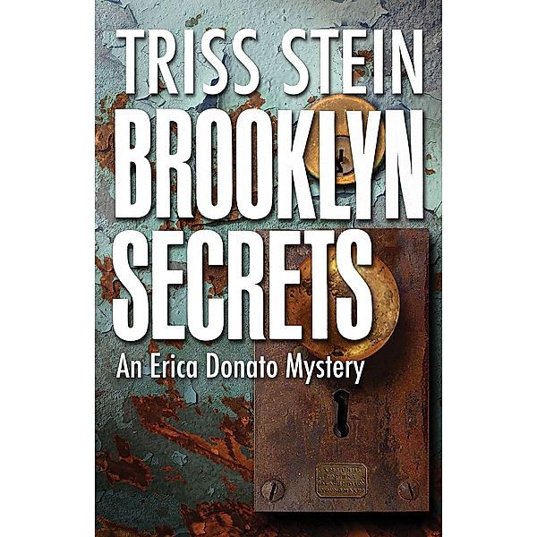 Brooklyn Secrets / Erica Donato Mysteries Bd.3, Triss Stein