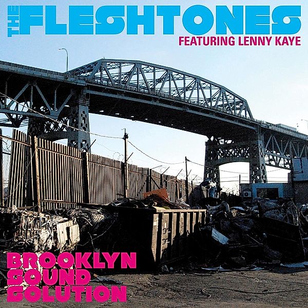 Brooklyn Sound Solution, Fleshtones