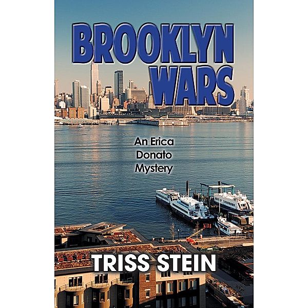 Brooklyn Wars / Erica Donato Mysteries Bd.4, Triss Stein