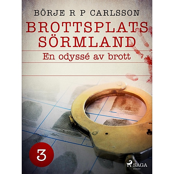 Brottsplats Sörmland.3, En odyssé av brott / Brottsplats Sörmland Bd.3, Börje R P Carlsson