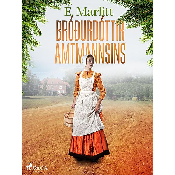 Bróðurdóttir amtmannsins / Klassísk rómantík Bd.4, E. Marlitt