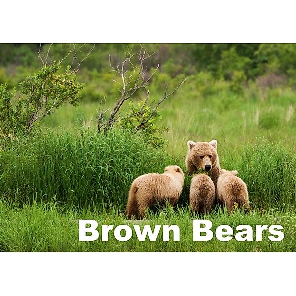 Brown Bears (Stand-Up Mini Poster DIN A5 Landscape), Max Steinwald