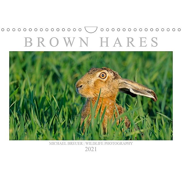 BROWN HARES (Wall Calendar 2021 DIN A4 Landscape), Michael Breuer