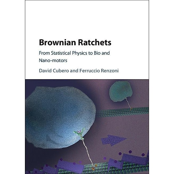 Brownian Ratchets, David Cubero