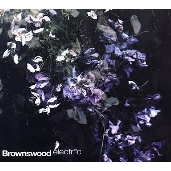 Brownswood Electric, Gilles Peterson