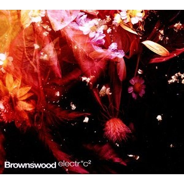 Brownswood Electric 2, Gilles Peterson