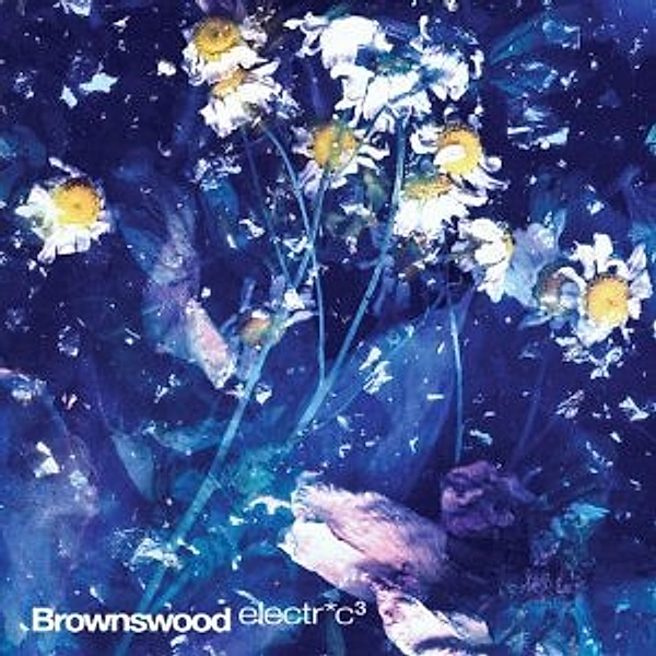 Brownswood Electric 3, Gilles Peterson