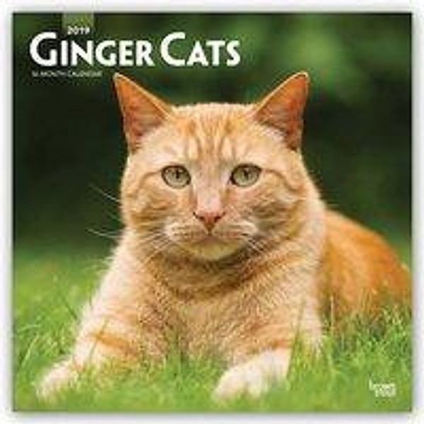Browntrout Publishers, I: Ginger Cats 2019 Square Wall Calen, Inc Browntrout Publishers