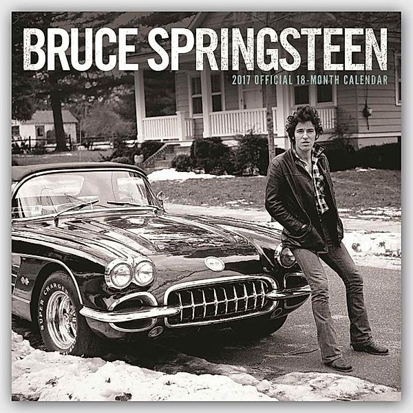 Bruce Springsteen 2017, Bruce Springsteen