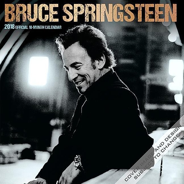 Bruce Springsteen 2018, Bruce Springsteen