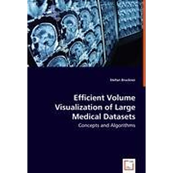 Bruckner, S: Efficient Volume Visualization of Large Medical, Stefan Bruckner