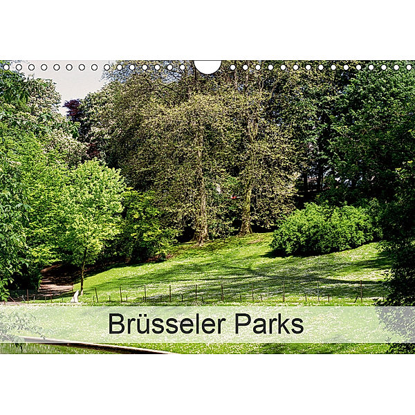 Brüsseler Parks (Wandkalender 2019 DIN A4 quer), Patrick Bombaert