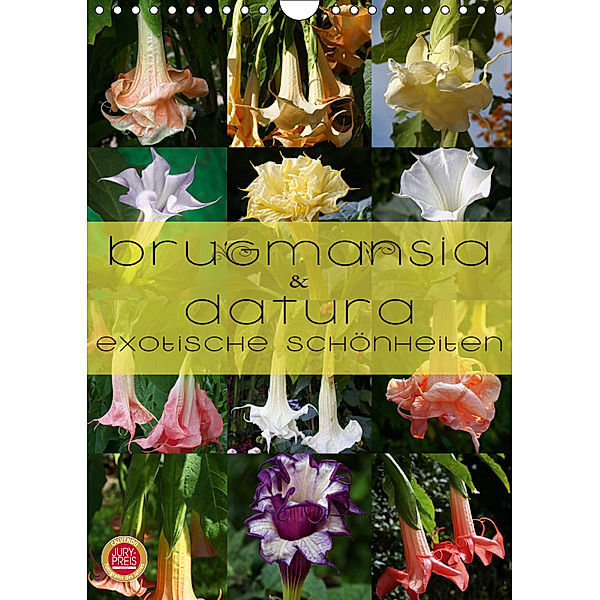 Brugmansia & Datura - Exotische Schönheiten (Wandkalender 2019 DIN A4 hoch), Martina Cross