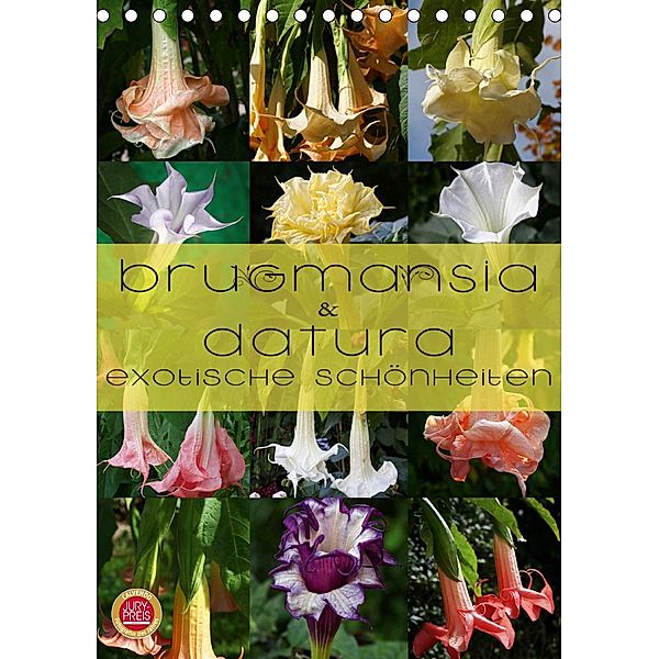 Brugmansia & Datura - Exotische Schönheiten (Tischkalender 2020 DIN A5 hoch), Martina Cross