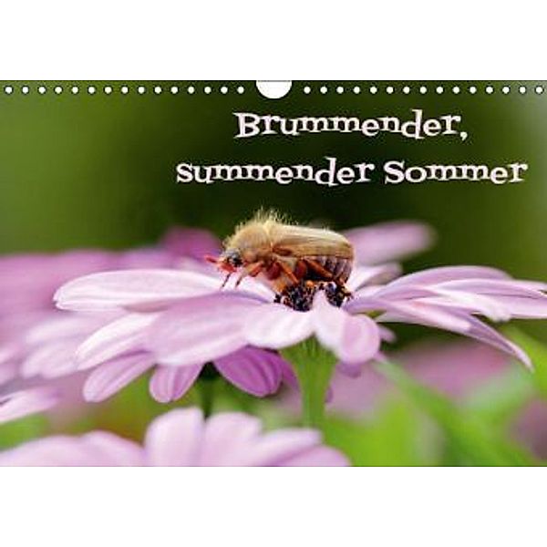 Brummender, summender Sommer (Wandkalender 2015 DIN A4 quer), Heike Hultsch