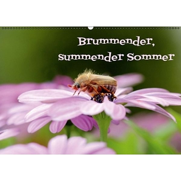 Brummender, summender Sommer (Wandkalender 2016 DIN A2 quer), Heike Hultsch