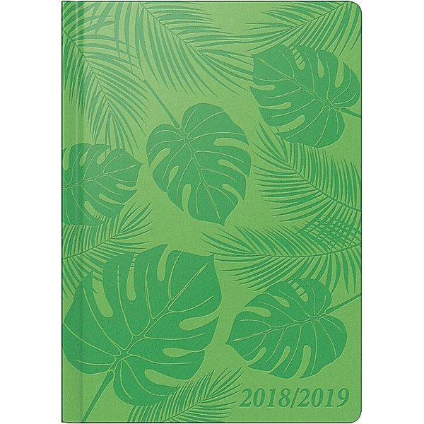 Brunnen Schülerkalender 2018/2019 Tropen grün